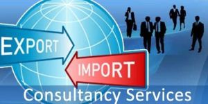Import & Export  Consultancy Services