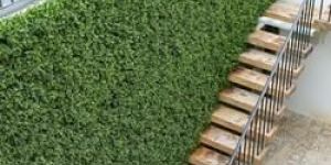 Artificial Green Wall