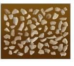 Scorched Small Pieces Cashew Nuts