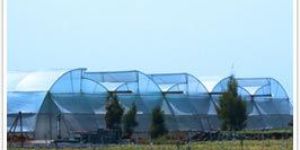 Greenhouse Construction Service