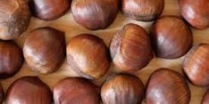 Brown Nuts