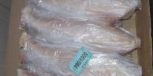 Frozen Leather Jacket Fish