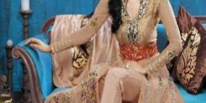 Ladies Party Wear Dress