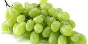 Fresh White Grapes