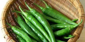 Fresh Green Chilies