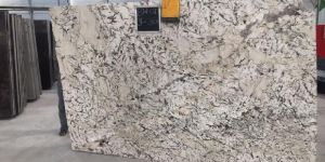 Bianco White Granite Slabs