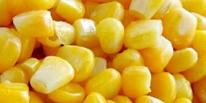 Frozen Sweet Corn