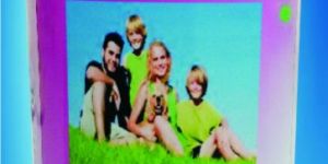 Immune System Booster Powder