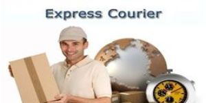 Sky Fly Courier Services