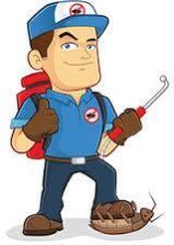 Anti Termite Resin Adhesive