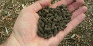 Organic Fertilizer