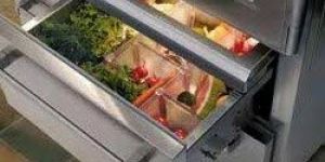 Refrigerator Repairing and Maintenance