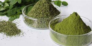 Moringa Leaf Powder