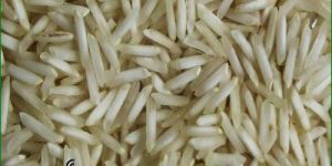 1509 Basmati Rice