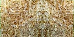 Pusa Parboiled Rice