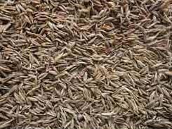Cumin Seeds