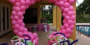 Theme Party Organizer