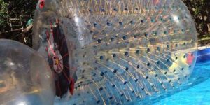 Water Roller Inflatable