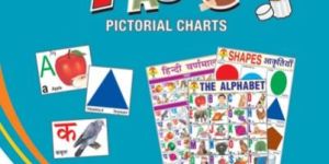Big Cut & Paste Pictorial Chart Books