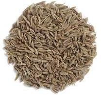 Cumin Seeds