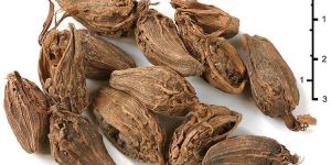 Black Cardamom