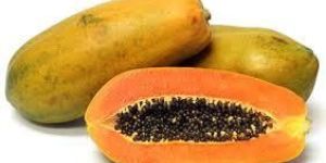 Papaya Fruit