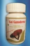 Ganoderma Capsules