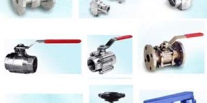 Stainless Steel Valves