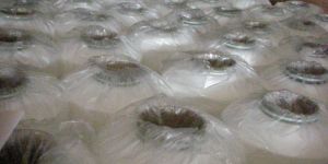 Multifilament Nylon Yarn