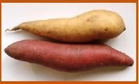 Fresh Yam