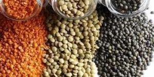 Indian Pulses