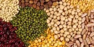 Pulses and Cereals