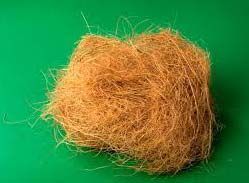 Coconut Coir