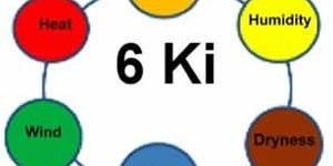 Six-Ki Therapy