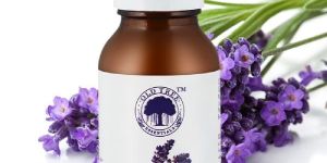 OLD TREE 100 % PURE LAVENDER OIL