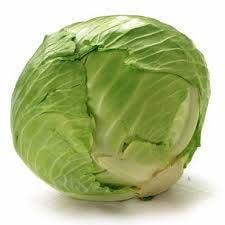 Fresh Green Cabbage