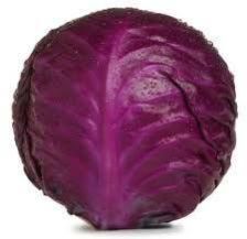 Fresh Red Cabbage