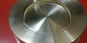 Steam Wafer Type Non Return Valve