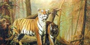 Wildlife Paintings