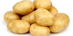 Fresh Potato