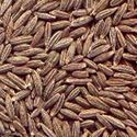 Indian Cumin Seeds