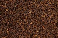 Indian NATURAL SESAME SEEDS BROWN