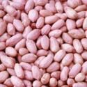 INDIAN Peanuts Kernels