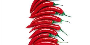 Indian Red Chilli