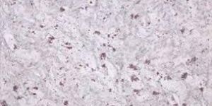 Moon White Granite Slabs and Blocks