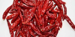 Dried Red Chilli