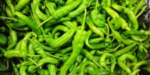 Fresh Green Chilli