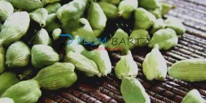 Green Cardamom