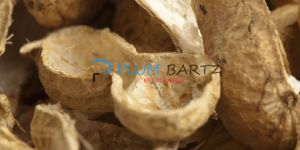 Peanut Shells