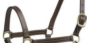Horse Halter